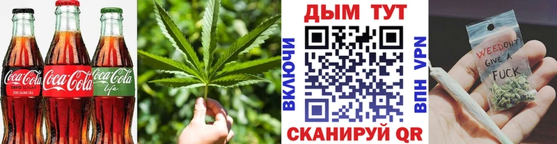 Canna-Cookies марихуана  где найти   Чаплыгин 