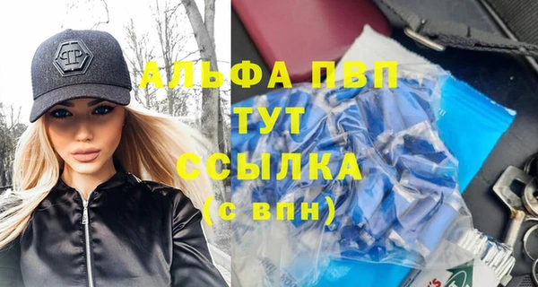 гашик Алексин