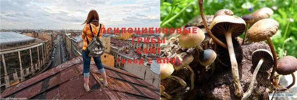 метадон Алексеевка